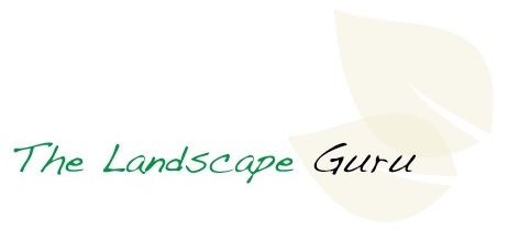 The NZ Landscape Guru